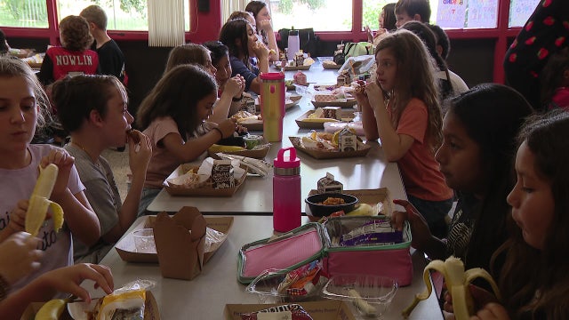 Harvest of the Month: Locally grown produce offered to Hillsborough County students