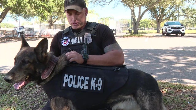 Nonprofit donates bullet and stab protective vests to SPPD K9s