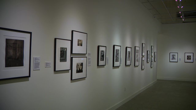 Florida Museum of Photographic Arts opens new exhibit
