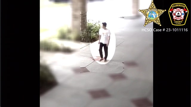 Hillsborough Co. Sheriff's Office searches for arsonist suspected of setting fire to Tampa Bay church