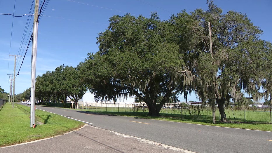 The crash happened on Airport Road in Plant City.