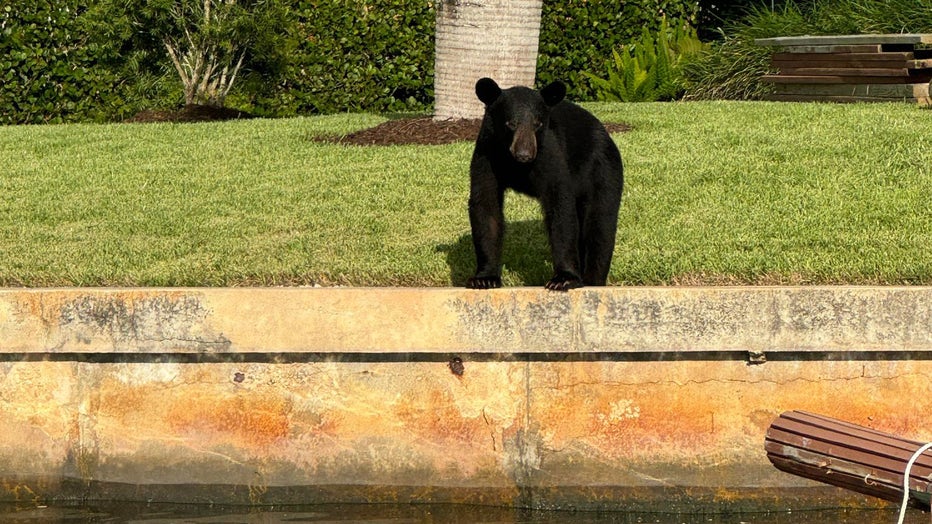 Bears fitness center – Orlando Sentinel