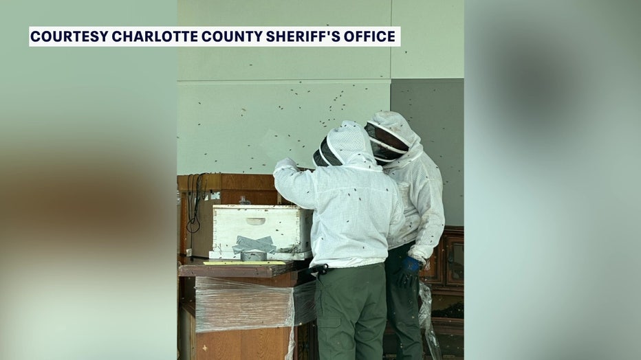 The two Charlotte County deputies are also beekeepers.