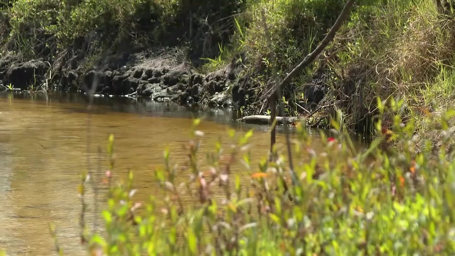 File: Manatee County