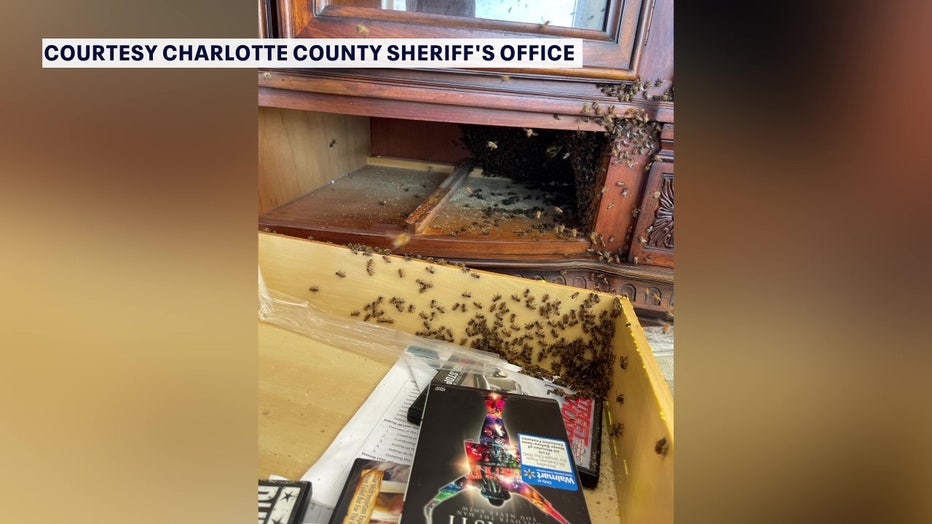 No one was stung, according to deputies.