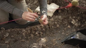 Adult archaeology camp on Weedon Island offers non-archaeologists a chance to learn