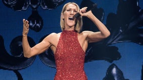 Residents in New Zealand town have had enough of ‘siren clubs’ blasting Celine Dion music all night long