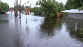 St. Pete leaders discuss ways to ease chronic flooding issues on last day of hurricane season