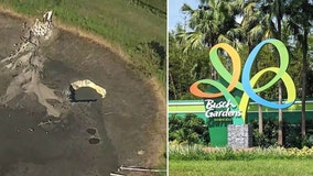 Busch Gardens sinkhole: 2.5 million gallons of wastewater released, DEP officials monitoring
