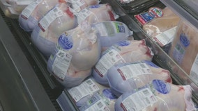 Shopping around for your Thanksgiving meal could save you money, analysts say