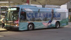 Electric buses bought with Volkswagen settlement money to hit the streets of Pinellas County