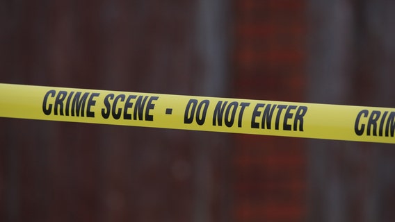 Armed suspect shot by Citrus County deputies after chase, crashing into power pole in Ocala: Investigators