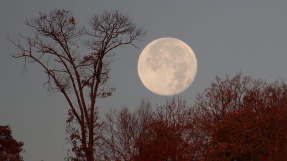 Beaver Moon: How and when to see November's full Moon