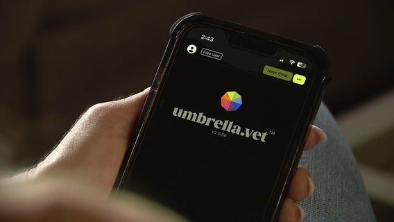 Businesses incorporate Artificial Intelligence into customer service