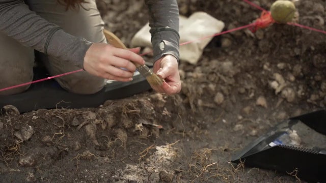 Adult archaeology camp on Weedon Island offers non-archaeologists a chance to learn