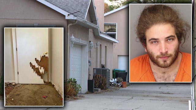 Skeletal remains of 3 animals locked inside Pinellas home found, former owner arrested