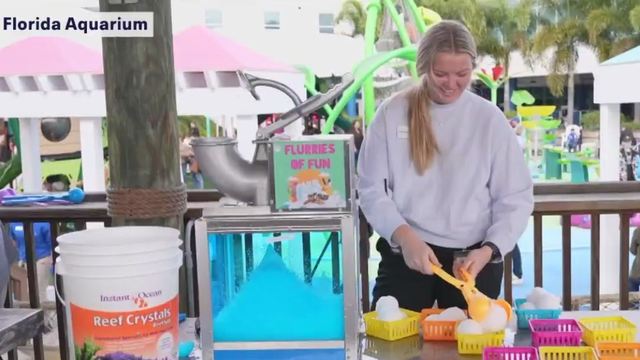 Florida Aquarium's annual 'Snow Days' event