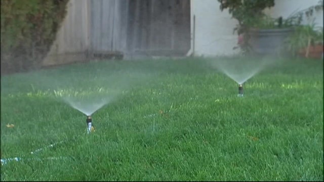 Tampa mayor pushing to make city watering restrictions permanent