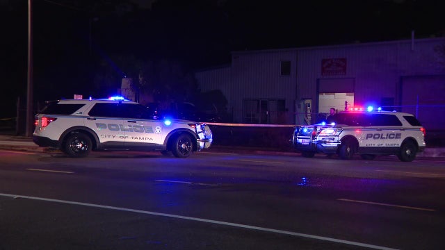 Pedestrian struck, killed in East Tampa crash