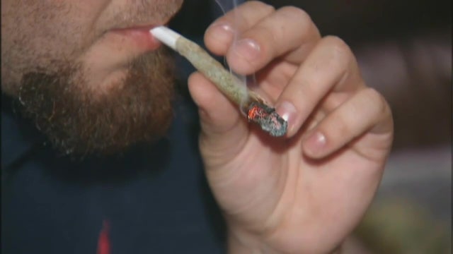 Amendment 3 fails: Floridians voted against legalizing recreational marijuana