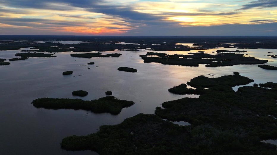 Marshes in Ozello during the 'Golden Hour.'