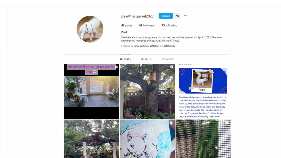 Pearl has her own Instagram page.