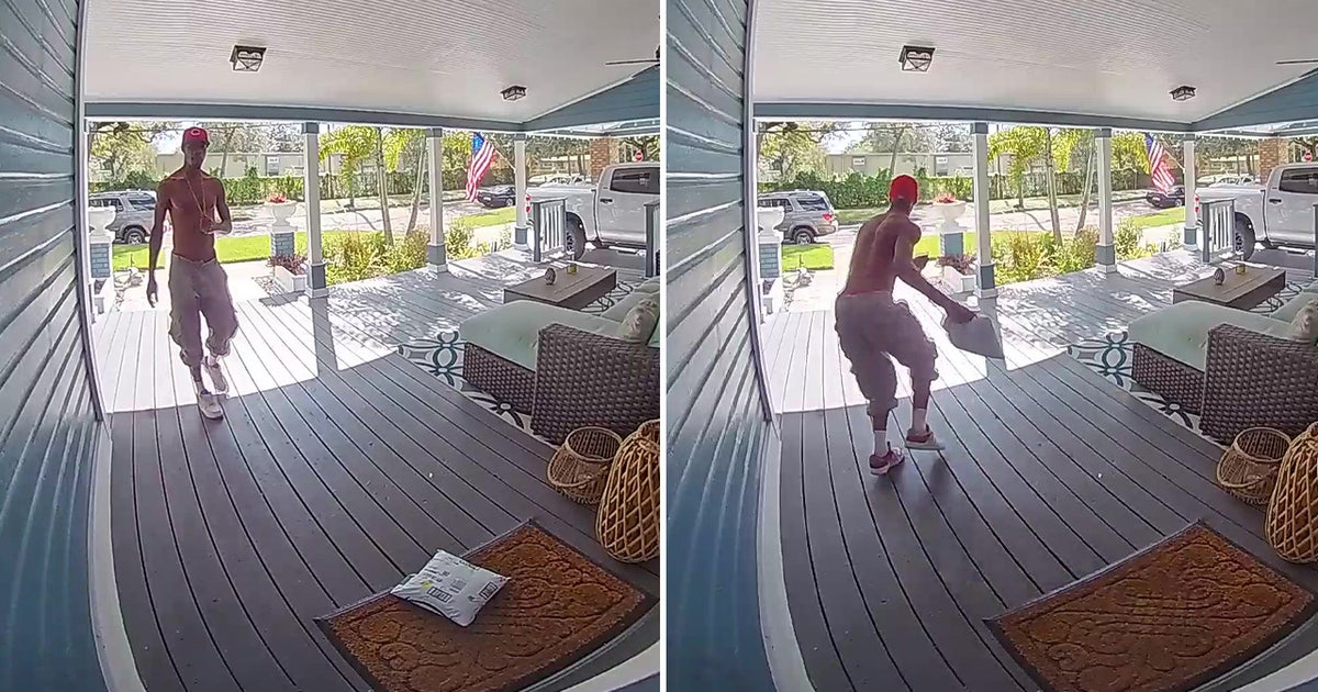 4c79e5c6-TPD-Porch-Pirate-Pic.
