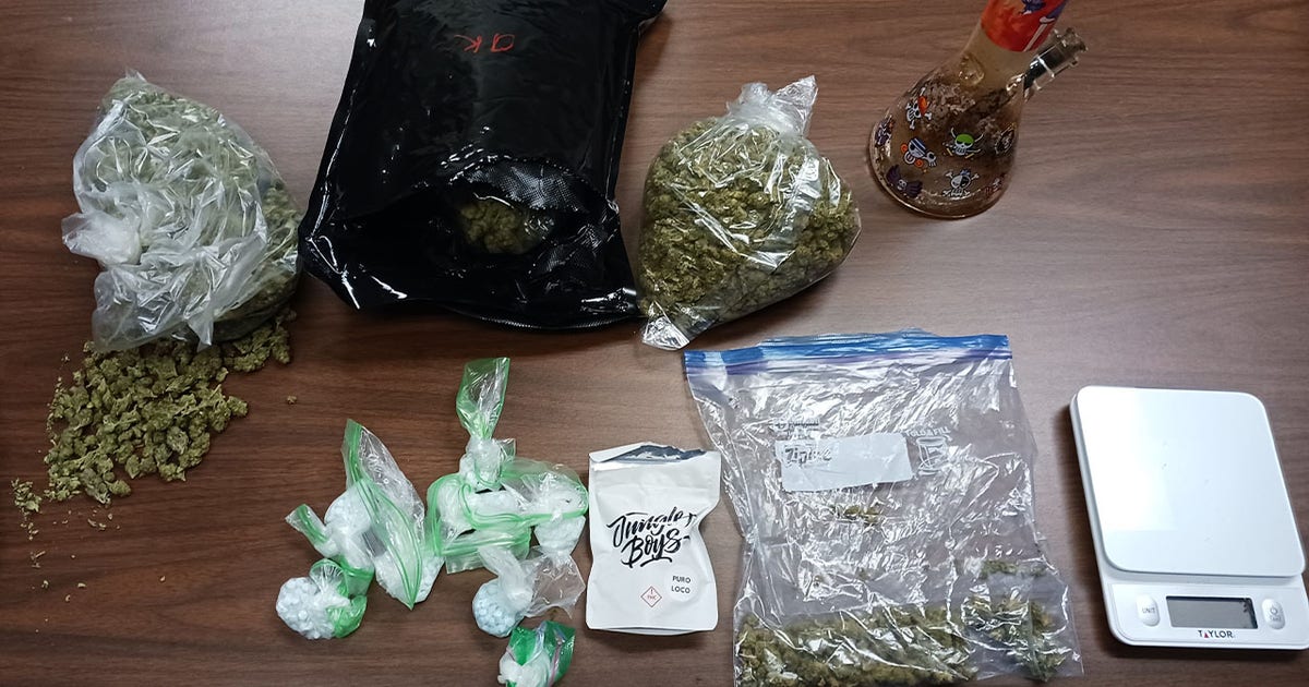 Hundreds of pills, marijuana found after troopers arrest man in Tampa ...