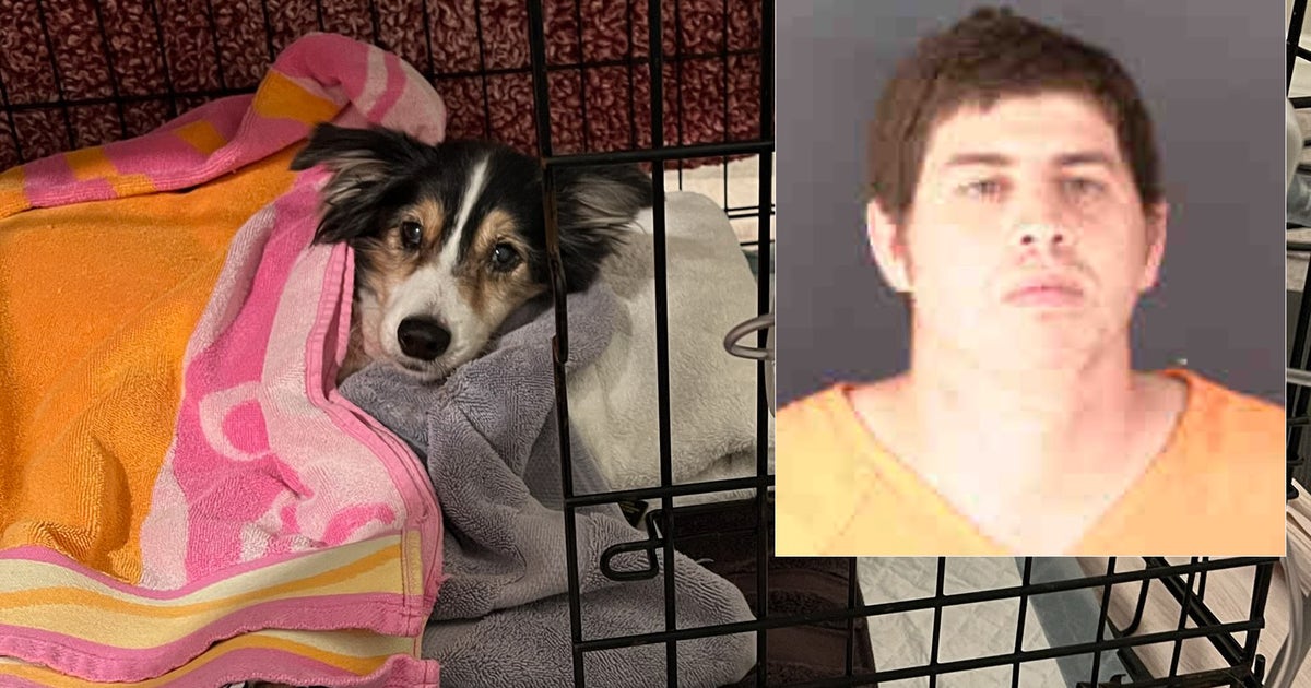 Former Hardee County deputy arrested for animal cruelty | FOX 13 Tampa Bay
