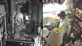 Search underway for St. Pete antique thief seen crawling around store, stealing $18K worth of items