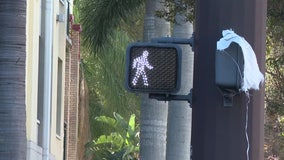 St. Pete police launch campaign to keep pedestrians, bicyclists safe