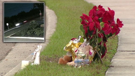 Pasco mother mourns loss of 17-year-old son killed by hit-and-run driver: 'Find the heart to come forward'
