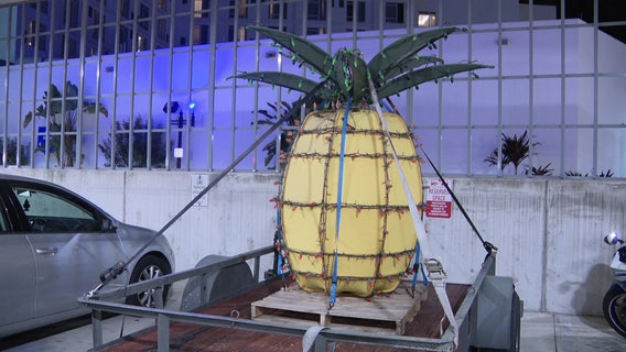 Sarasota Pineapple Drop nominated for best New Year's Eve celebration. Here's how to vote.