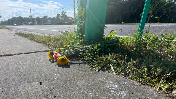 Florida toddler killed, mother injured after child runs into traffic