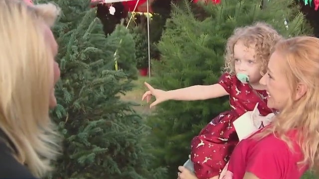 Tampa company giving away 100 Christmas trees to families in need