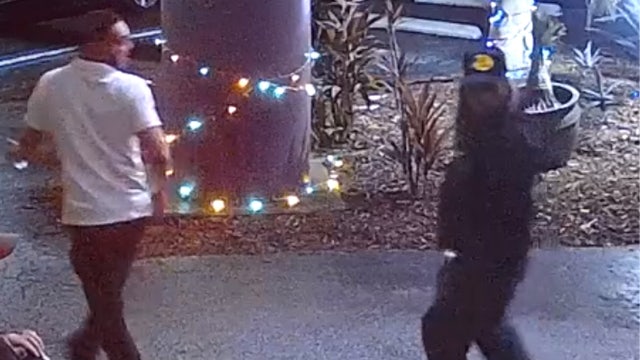 Police search for 2 suspects accused of shooting security guard at Tampa nightclub: TPD