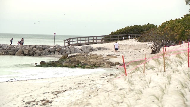 Bay Area braces for severe weather conditions amid Hurricane Idalia restoration projects