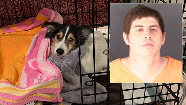 Former Hardee County deputy arrested for animal cruelty