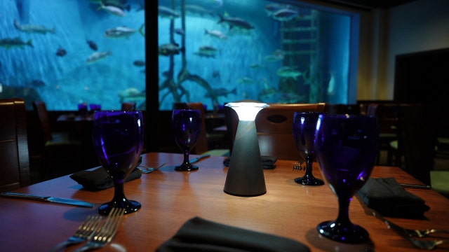 RumFish Grill gives guest an under the sea view from its 33,000 gallon aquarium