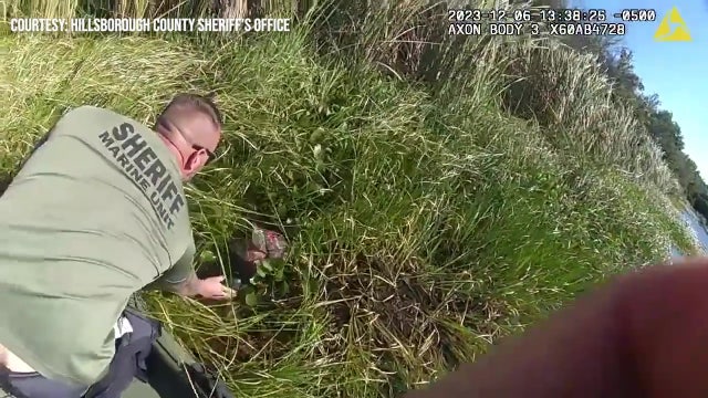 Hillsborough deputies find, arrest wanted man hiding in retention pond near I-4: HCSO