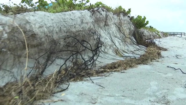 Crews assessing post-Hurricane Idalia dune restoration after weekend storms