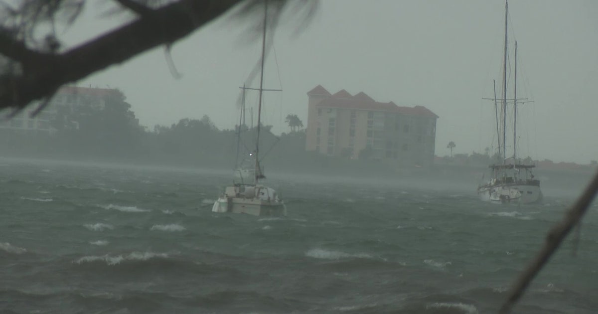 PHOTOS: Severe weather leaves damage throughout Tampa Bay | FOX 13 ...