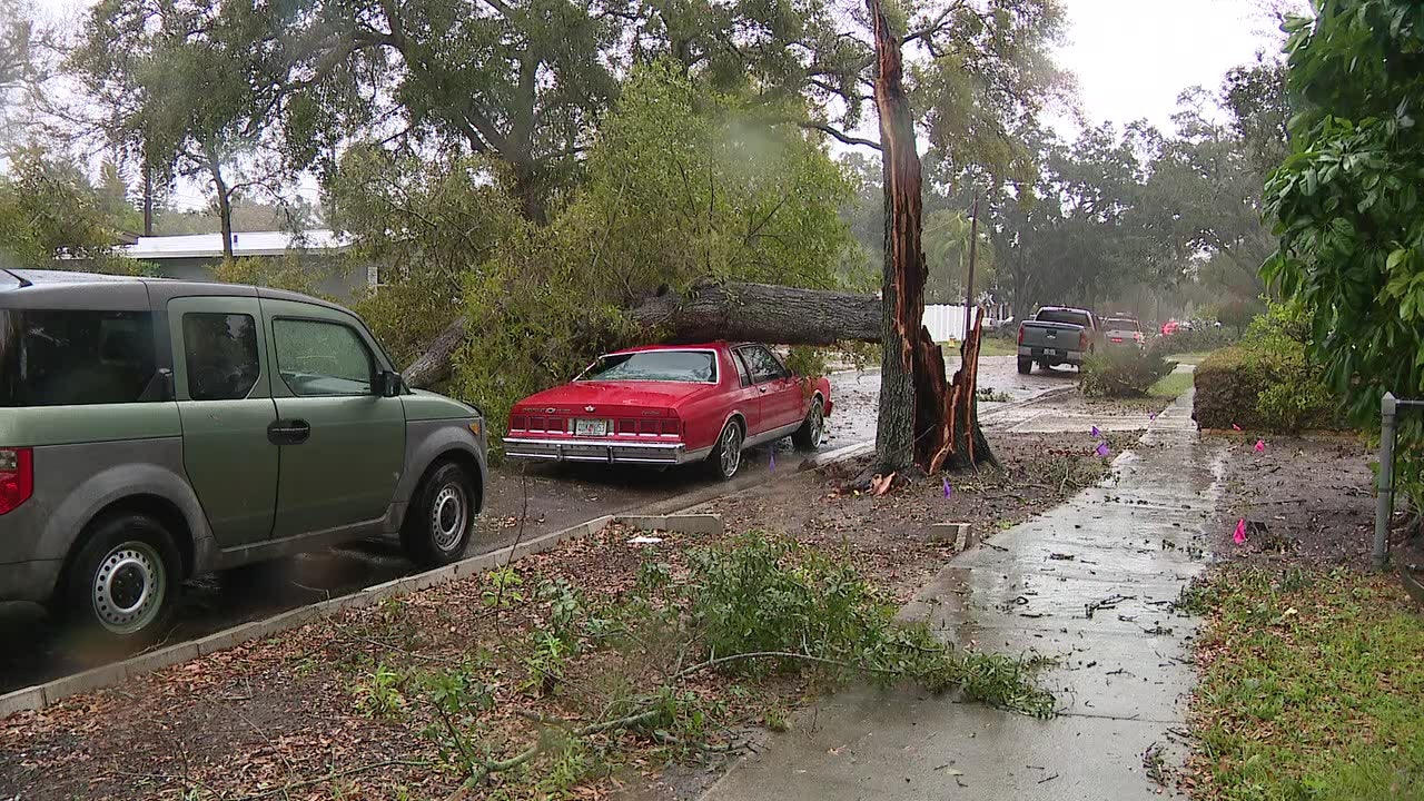 Residents Clean Up After Tornado Touches Down In St. Petersburg - Verve ...