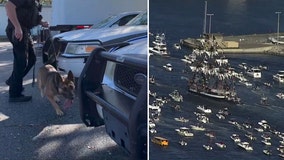 Gasparilla safety: How marine, K9 crews are preparing for this weekend's pirate invasion
