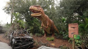 Ancient predators come back to life at new ZooTampa exhibit