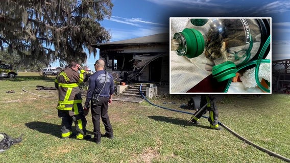 PHOTOS: Dogs, cats and guinea pig rescued in Plant City house fire