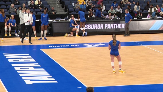 Tampa Bay Sports Commission touts tourism as it looks toward future