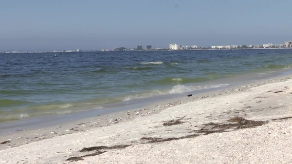 DeSantis funds $10M to combat harmful algae blooms like red tide