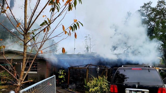 2 dogs, 3 snakes rescued from Tampa house fire