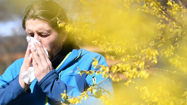 Allergy capitals: Here are the worst cities in Florida if you suffer from allergies